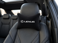 Lexus Velvet Neck Pillow, 2pcs