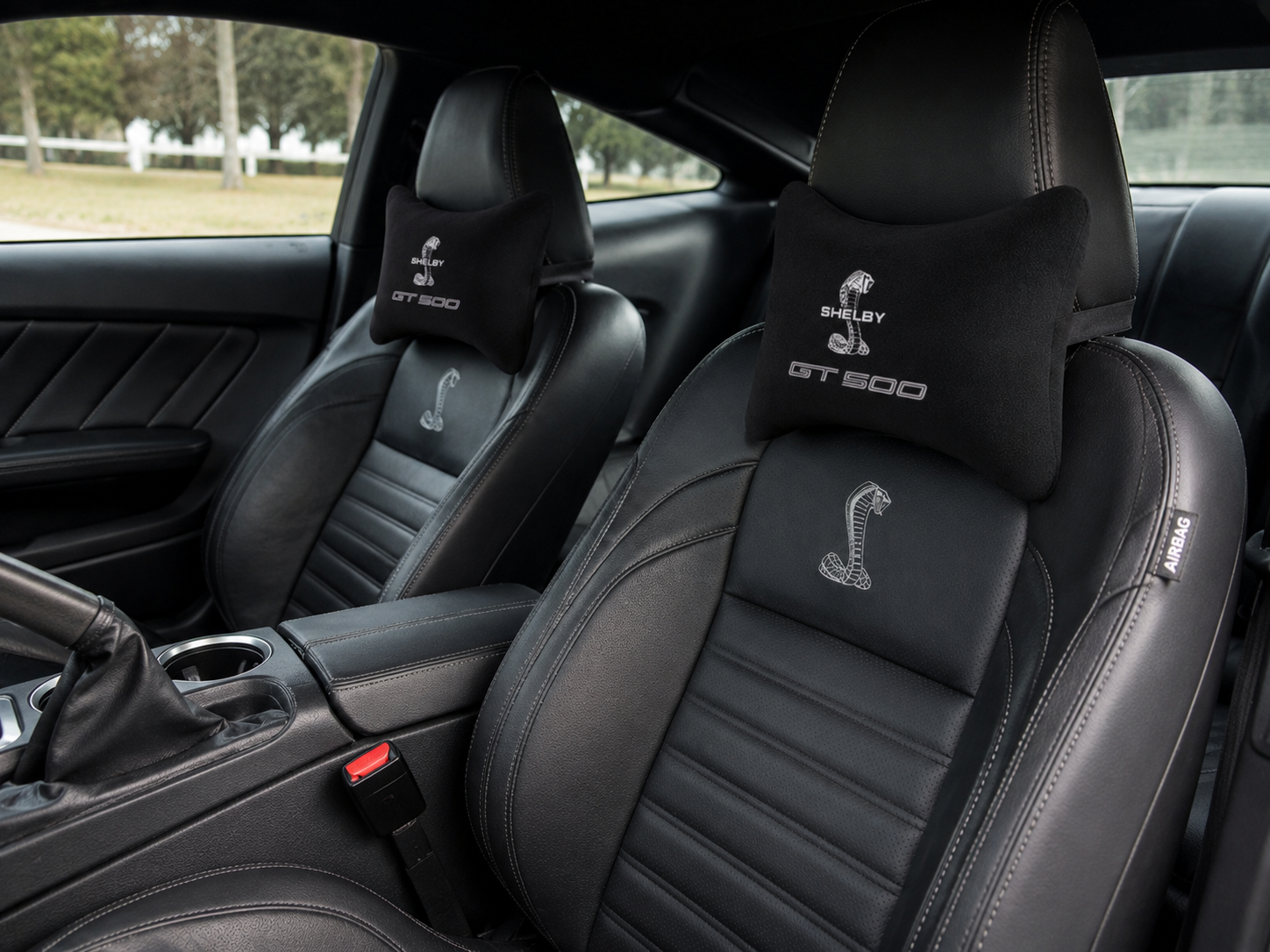 Shelby Velvet Neck Pillow, 2pcs ( GT350-GT500-Cobra )