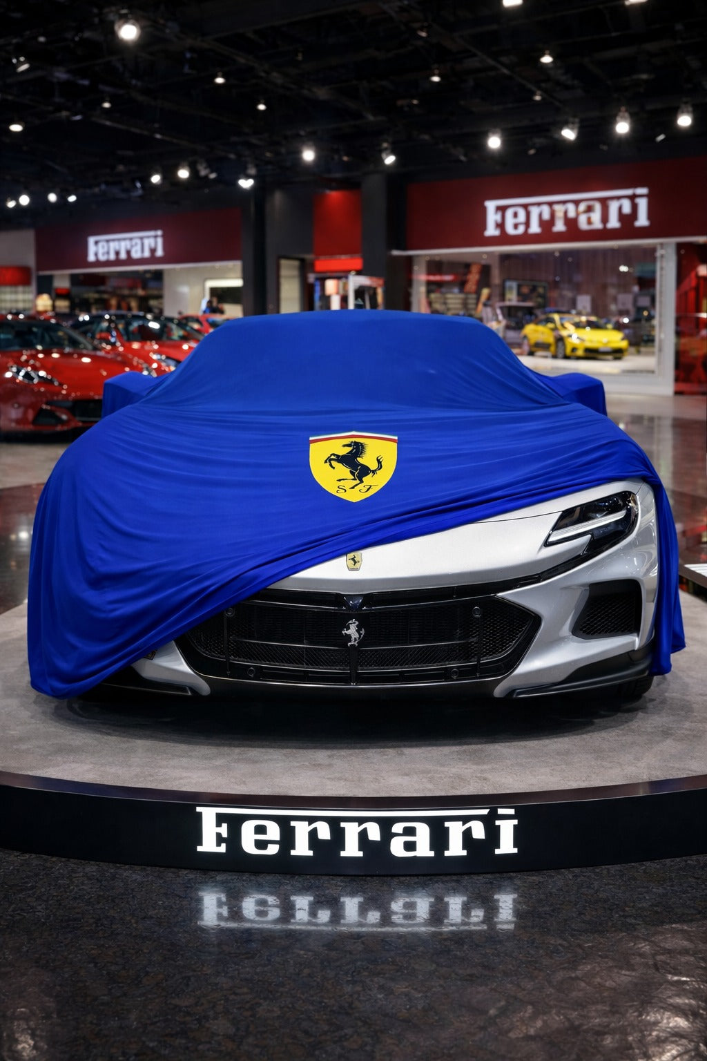 Indoor Car Cover Compatible with Ferrari Models – Dustproof, Soft Protection
